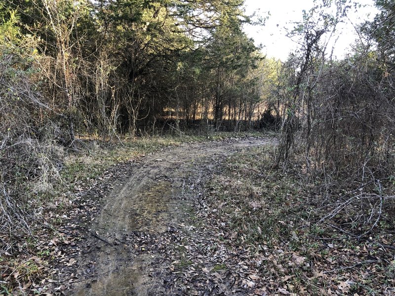 Muddy Section