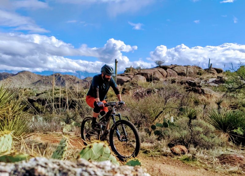 The summit of Wild Mustang Trail offers gently breathtaking views to the east and west.