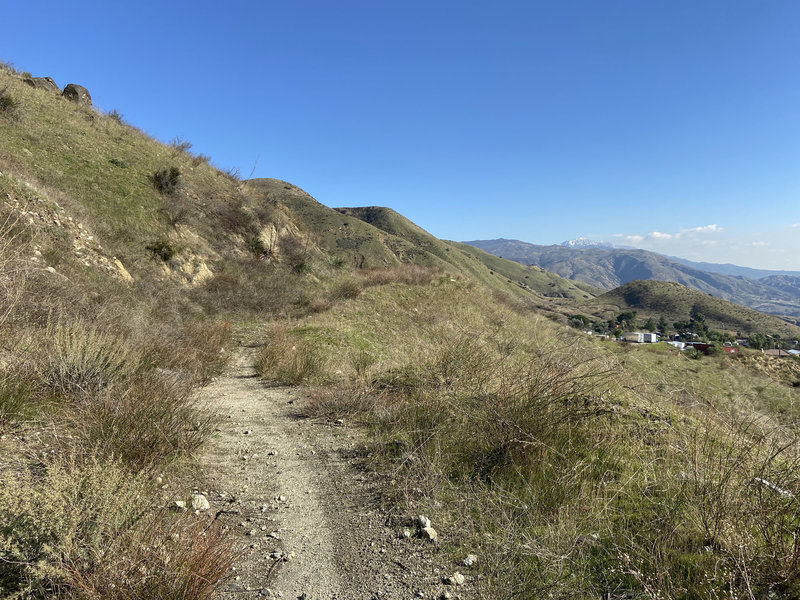 Looking up the start of the singletrack