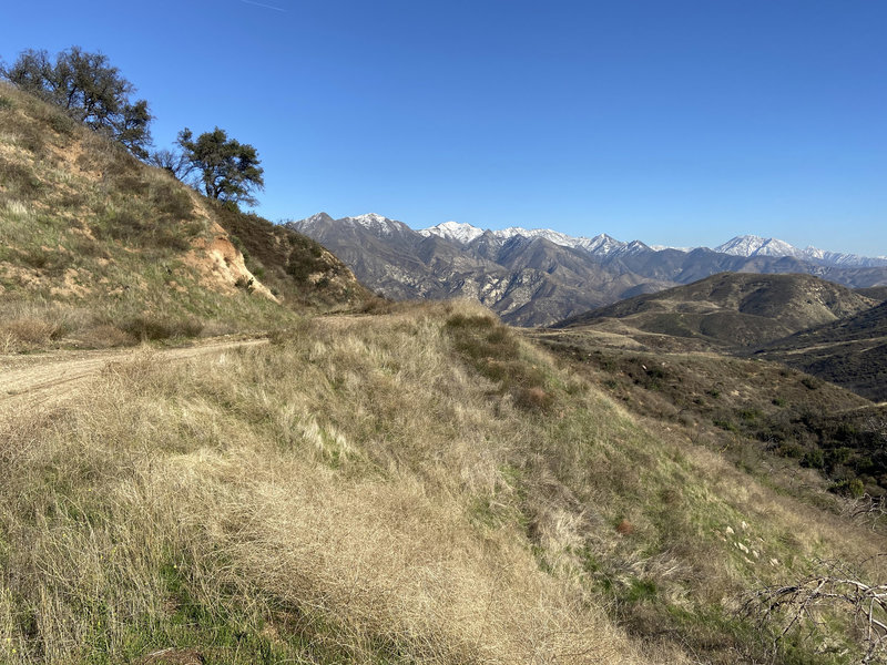 Along the Kagel Canyon fire road, just after the "UFO"