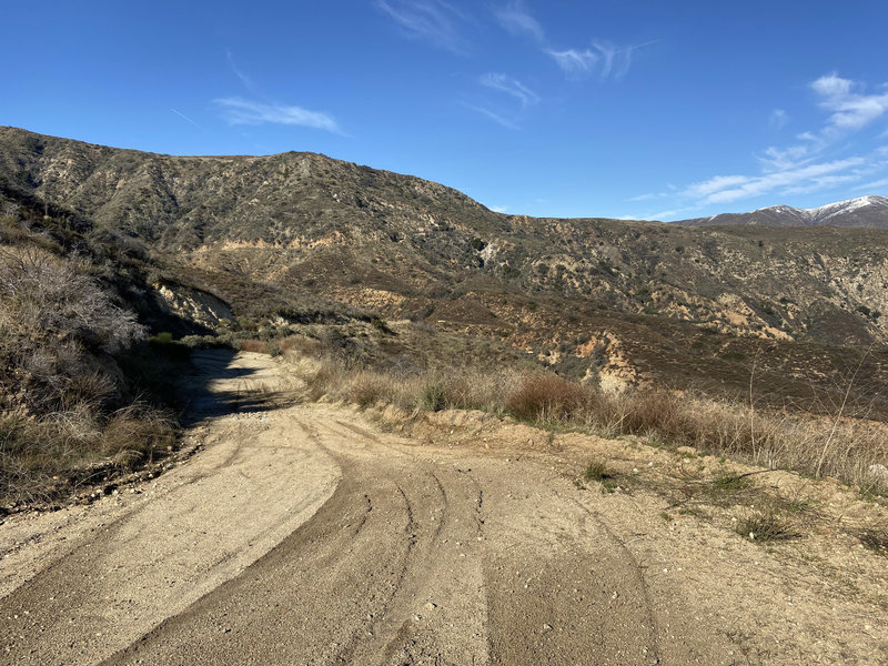 Well-graded fire road. You eventually reach the ridge in the center of the photo