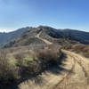 Looking along the fire road during the ascent.