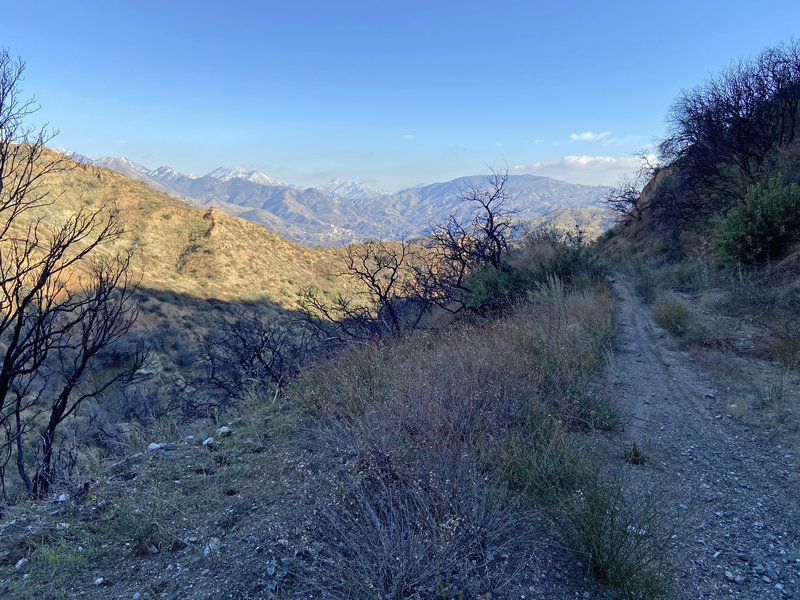 Coming down the Kagel Canyon road towards Lopez Canyon Park.