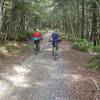 Porika Track is a 4WD road connecting Howard Valley with Lake Rotoroa