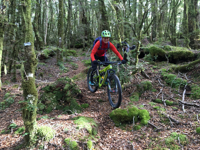 Beginning the technical descent through moss covered beech forest