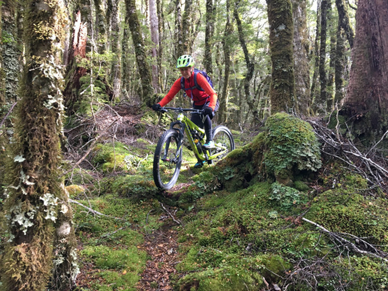 Tight turns, roots and mossy forest floor