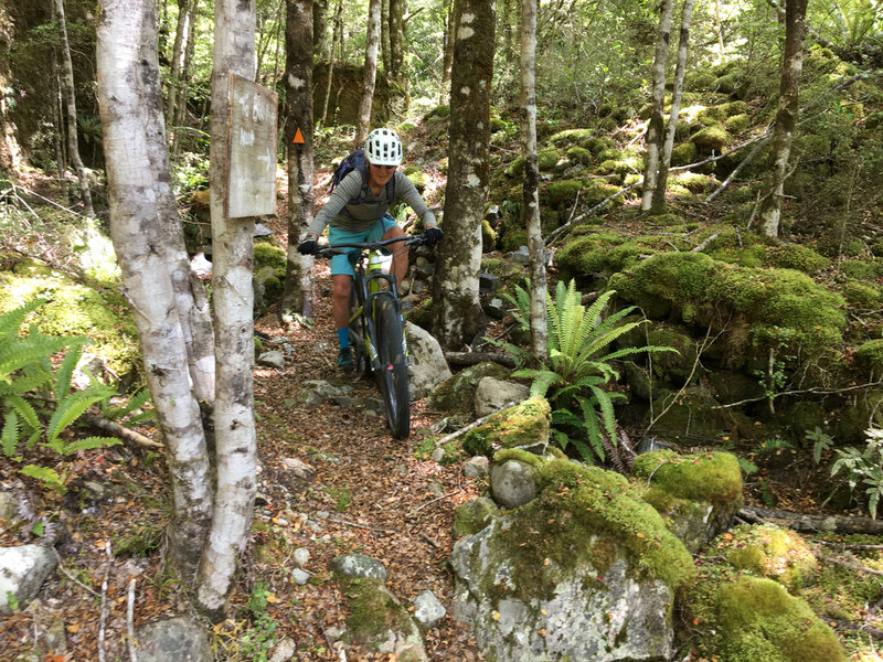 Tight riding between rocks and trees