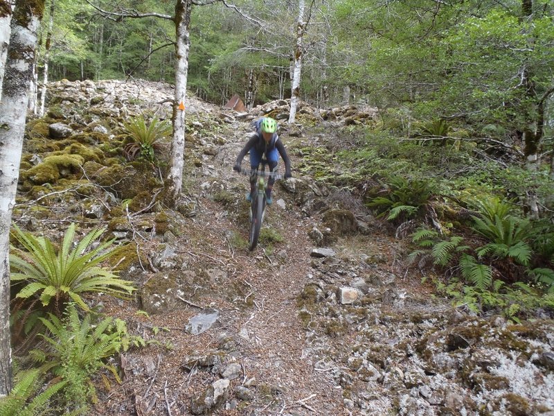 Riding down a pile of old tailings