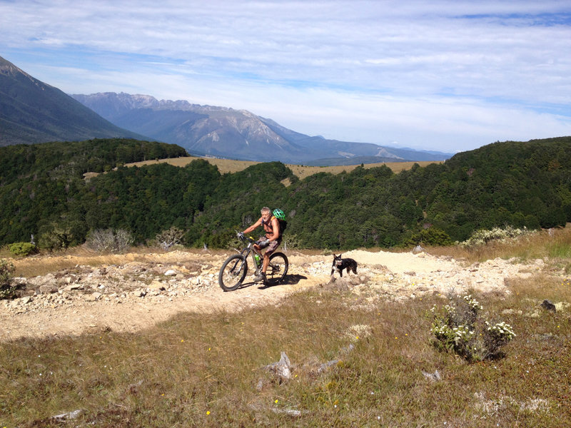 View towards Mt Robert and Lake Rotoiti