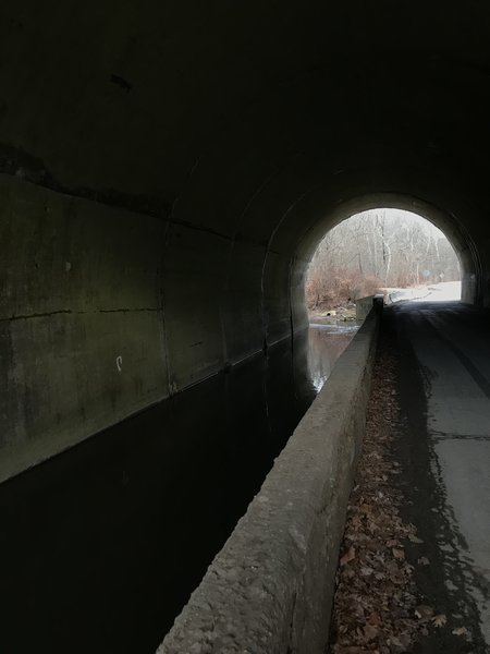 Green man's tunnel