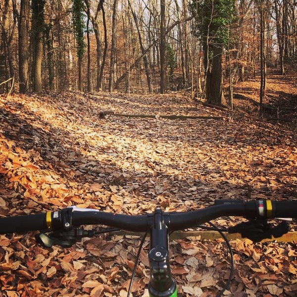 Base of the longest hill on the trail.