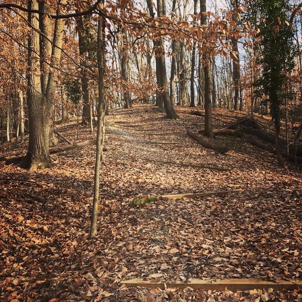 Endless water bars, halfway up the longest hill on the trail.