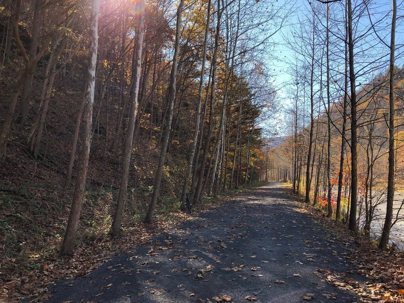 Pine Creek rail trail.