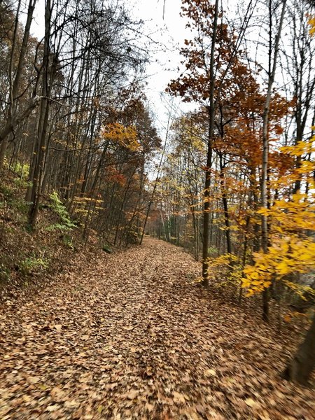 Catherine Valley rail trail in the late Fall.