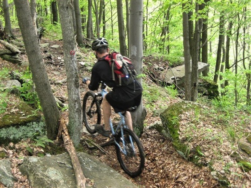 Rocky singletrack on Cliff Trail in Prompton State Park.