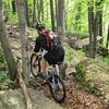 Rocky singletrack on Cliff Trail in Prompton State Park.