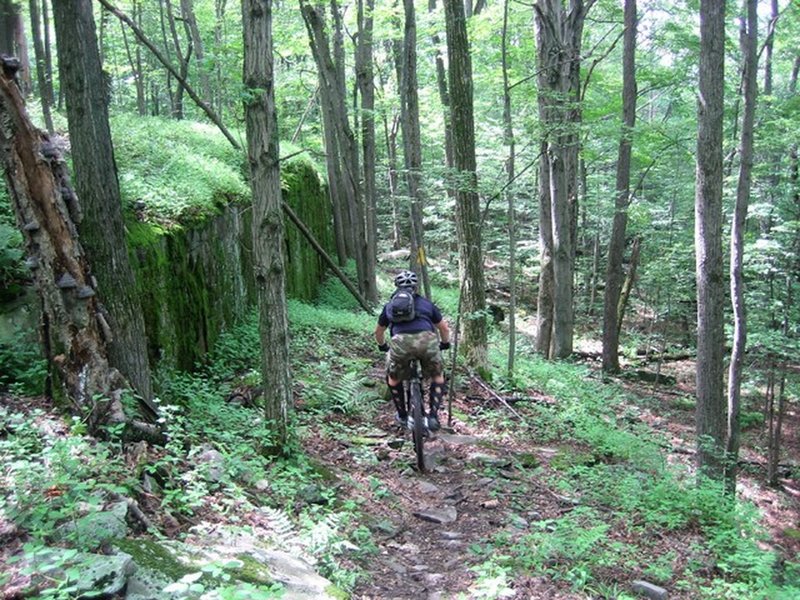 Big rock slabs on Bone Ridge Trail in Prompton State Park.