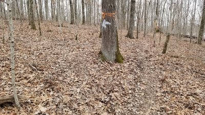 New section added late 2019. Go left, right is short cut.