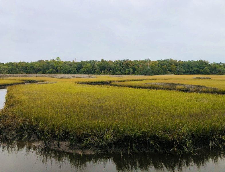 Moses Creek, as seen from the first of many bluffs along the trail.