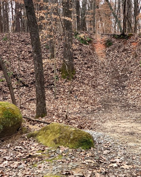 Drop and jump near beginning of trail