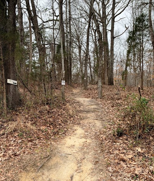 Beginning of final climb to trailhead