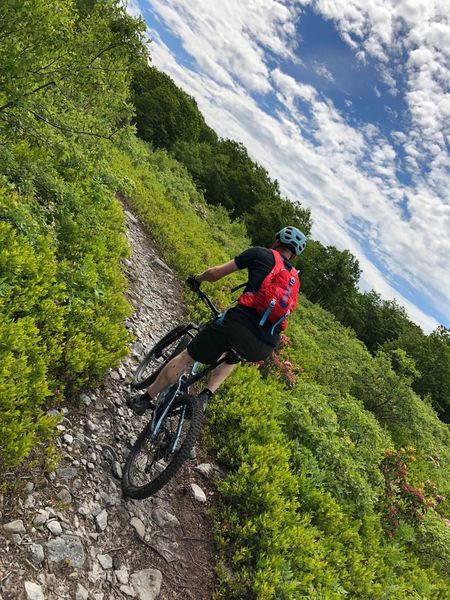 Climbing the Blueberry trail.