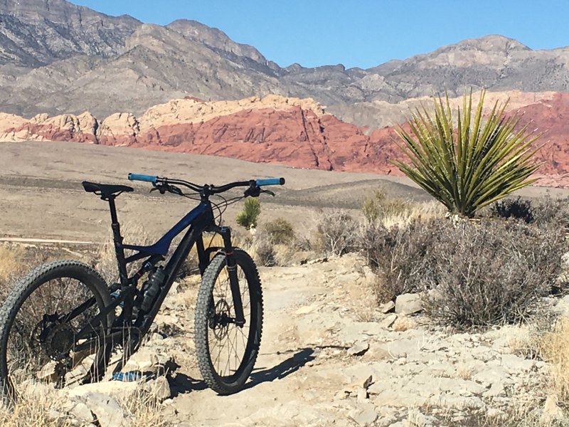 The view back toward Red Rock Canyon