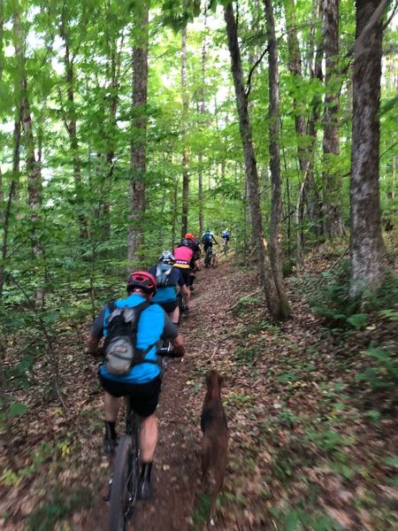 Big group of riders rumbling down Green 2 in Shindagin Hollow.