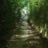 Gravel singletrack