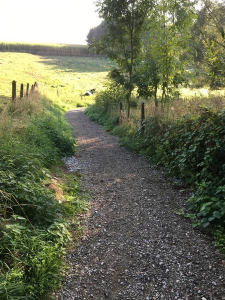 Gravel track