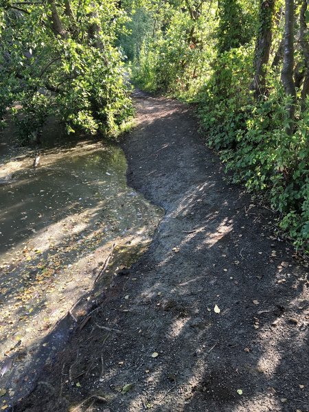 Small singletrail between 2 small lakes