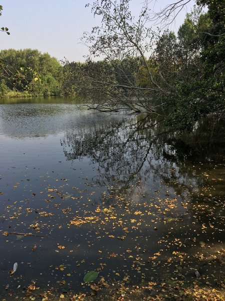 View on lake