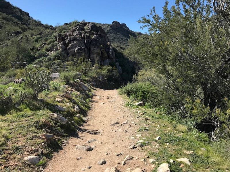 Approaching a wash area, steep downhill.