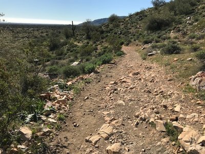 Climbing up Mule Deer Trail.