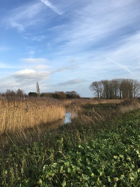 View on Durme river