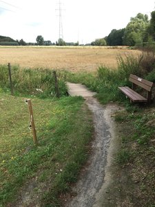 Track