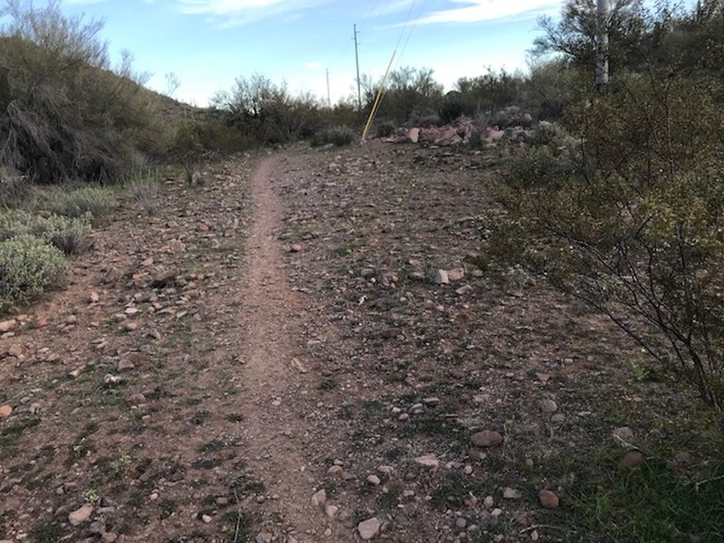 Trail mostly flat. Shared use with horses and hikers.