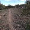 Trail mostly flat. Shared use with horses and hikers.