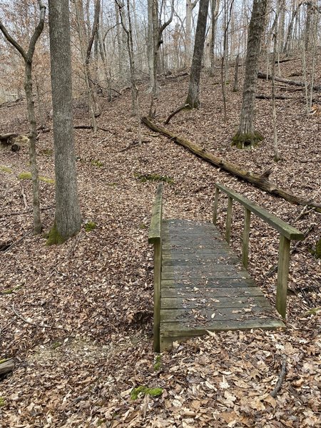 Bridge on Eagle Trail