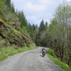 Siletz River Road