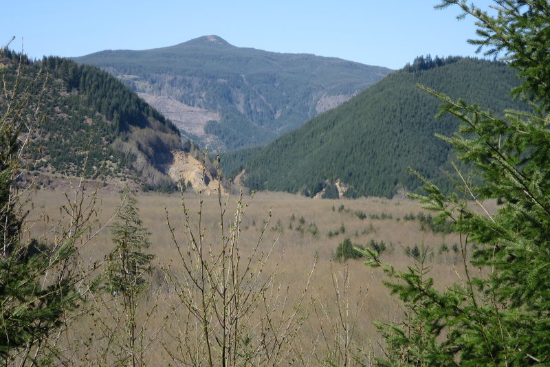 The remains of Valsetz Lake