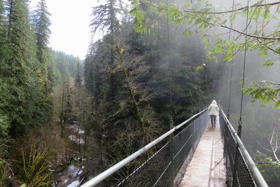 Pedestrian suspension bridge at Drift Creek Falls