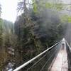 Pedestrian suspension bridge at Drift Creek Falls