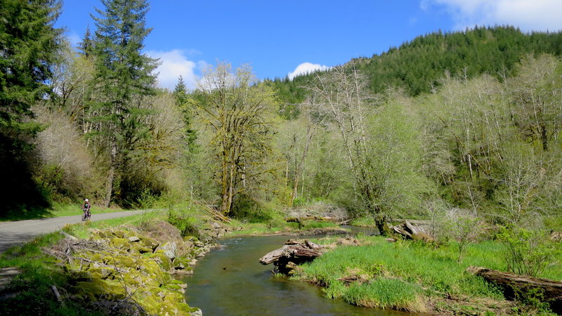 Gravel Creek Road near the confluence of Gravel Creek with the Siletz River.