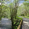 Gravel Creek and Gravel Creek Road