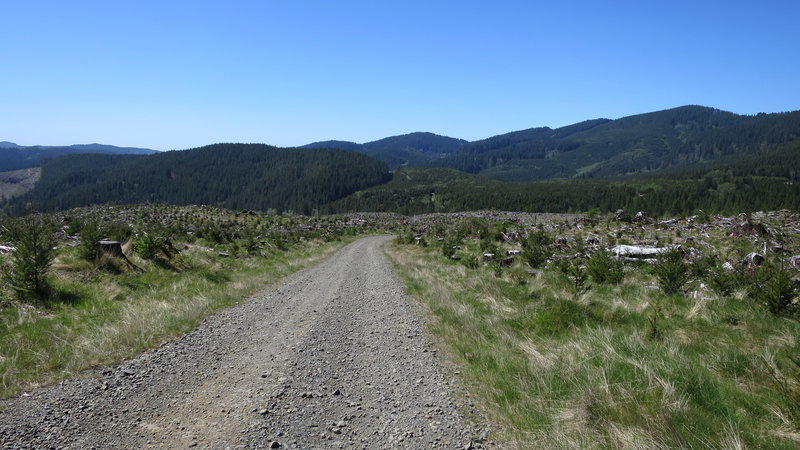 Clearcut with a long descent