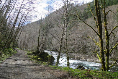 Road 500 / North Fork of the Siletz River