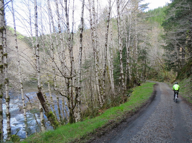 North Fork of the Siletz River / Road 500