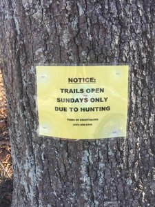 FYI