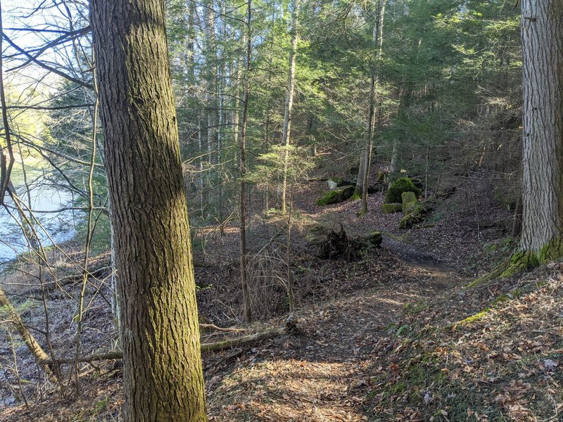 Laurel River Lake Trail Views